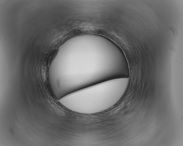 X0000111141348200906301009