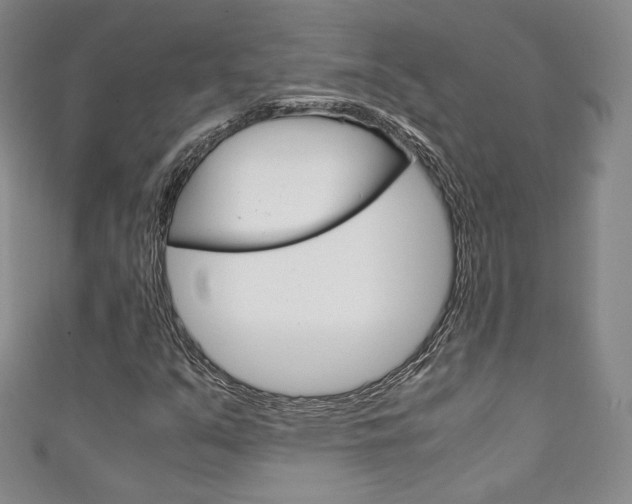 X0000111141351200906301009