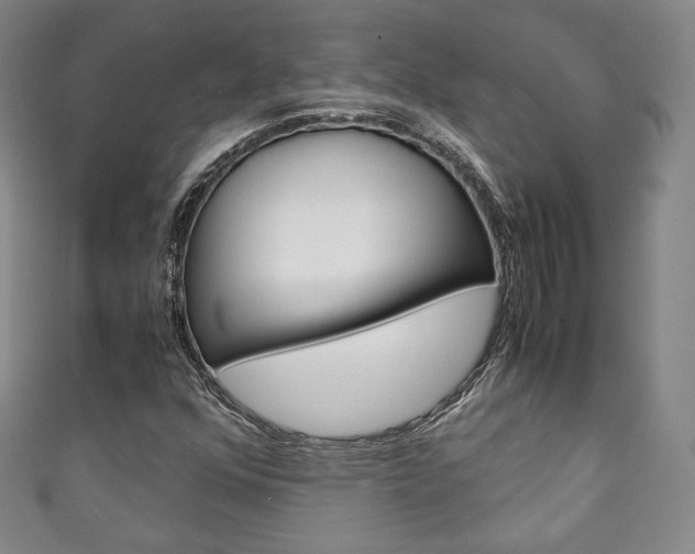 X0000111141352200906301009