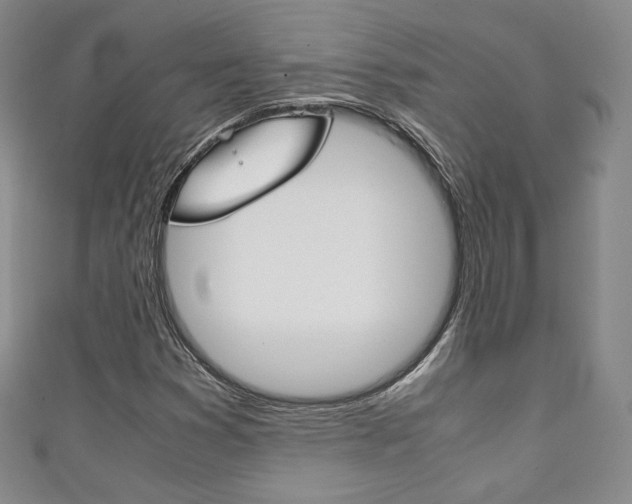 X0000111141353200906301009