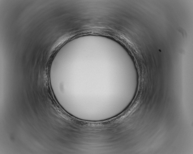 X0000111141354200906301008