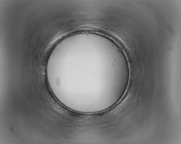 X0000111141355200906301008