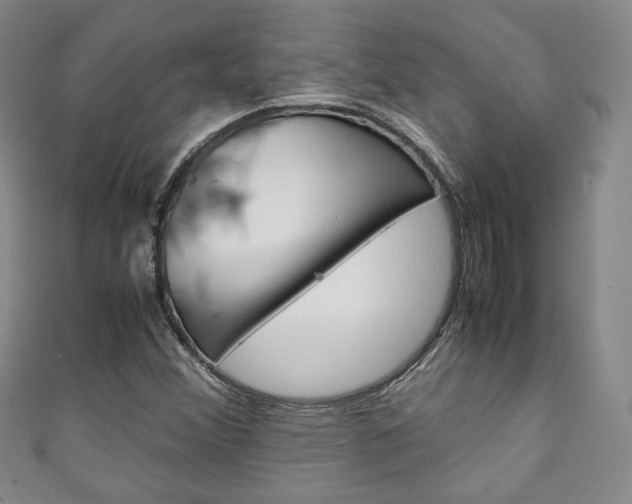 X0000111141356200906301008