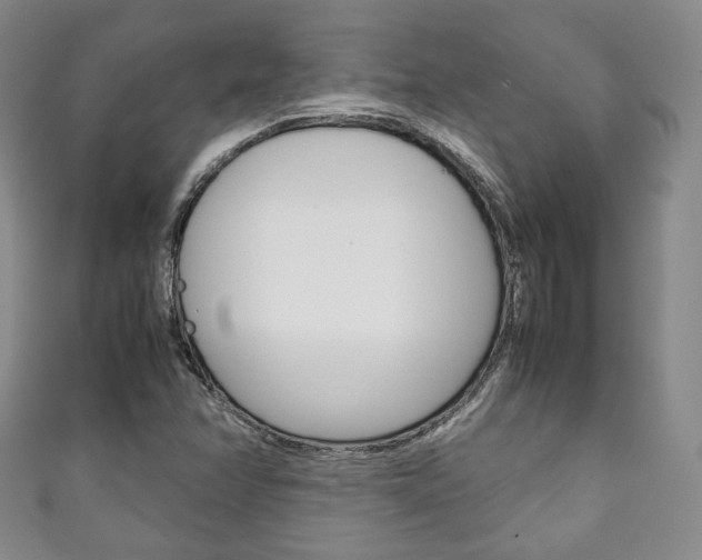 X0000111141358200906301008