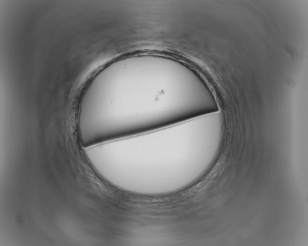 X0000111141359200906301008
