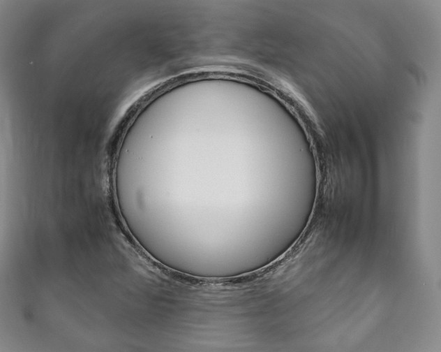 X0000111141360200906301008