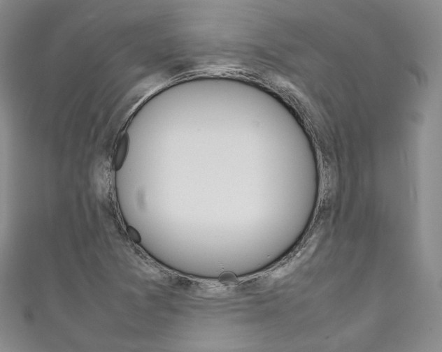 X0000111141361200906301008