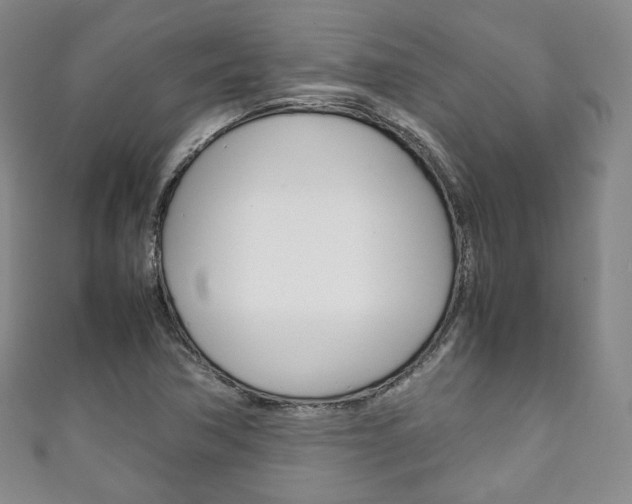 X0000111141362200906301008