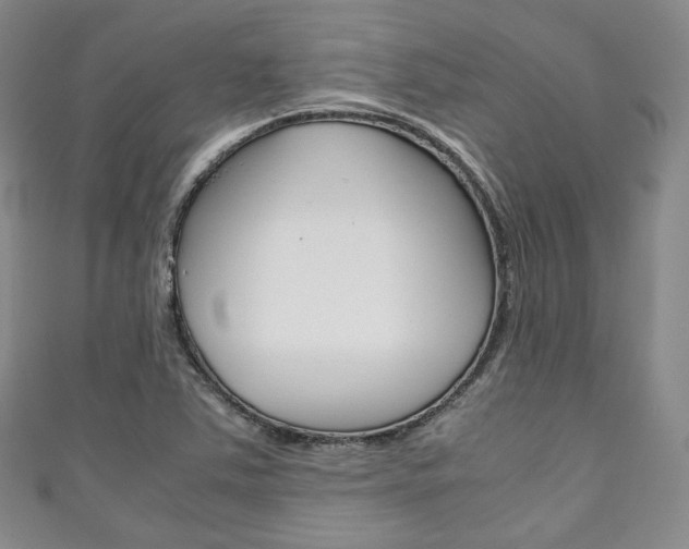 X0000111141363200906301008