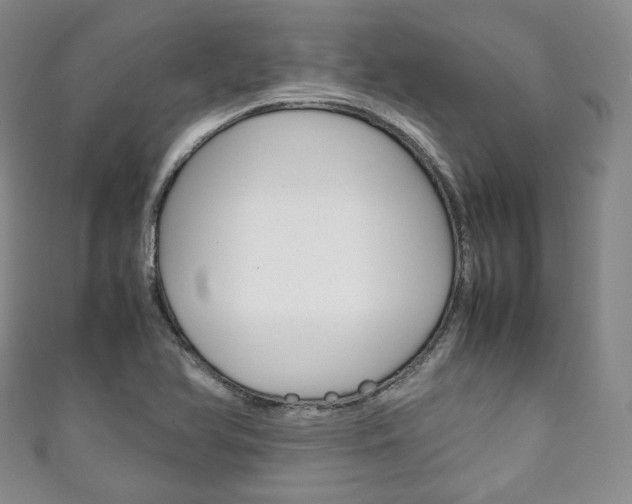 X0000111141366200906301008