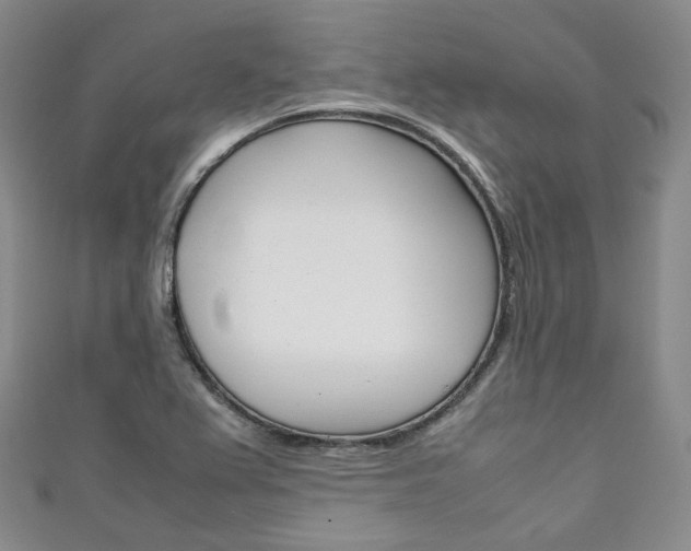 X0000111141367200906301008