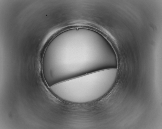 X0000111141368200906301008