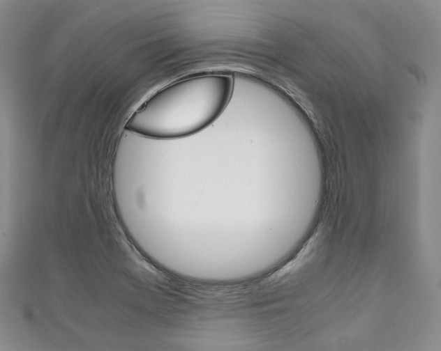X0000111141369200906301008