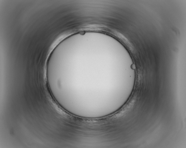 X0000111141370200906301008