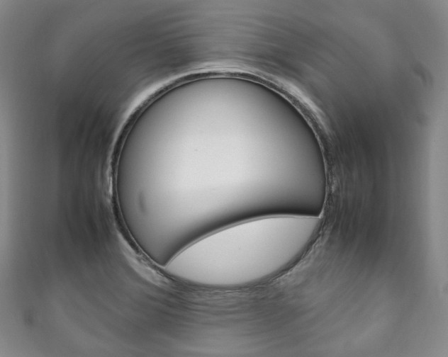 X0000111141372200906301008