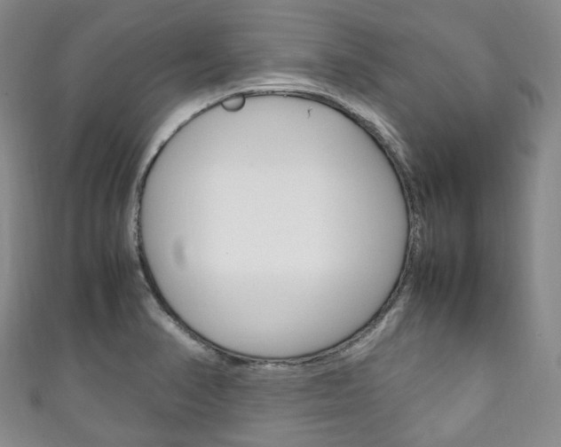 X0000111141374200906301008