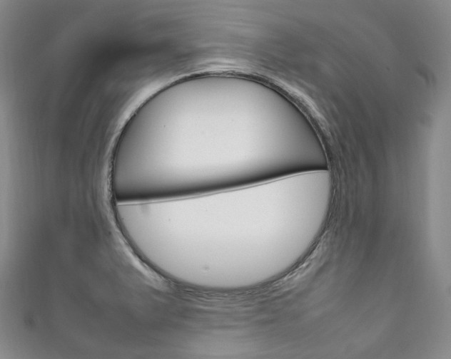 X0000111141375200906301008