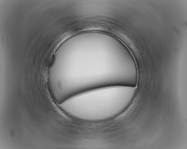 X0000111141377200906301008