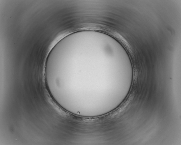 X0000111141378200906301008