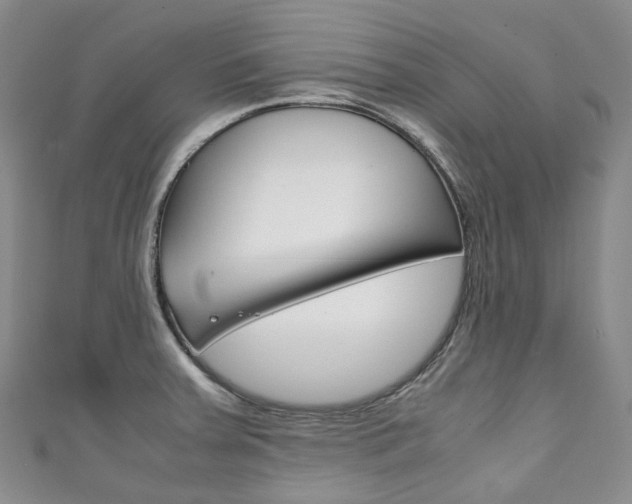 X0000111141379200906301008
