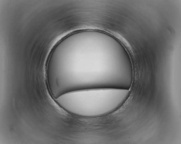 X0000111141380200906301008