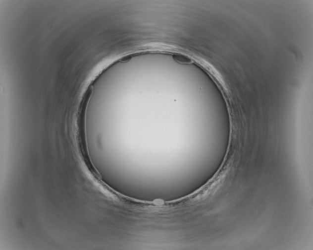 X0000111141381200906301008