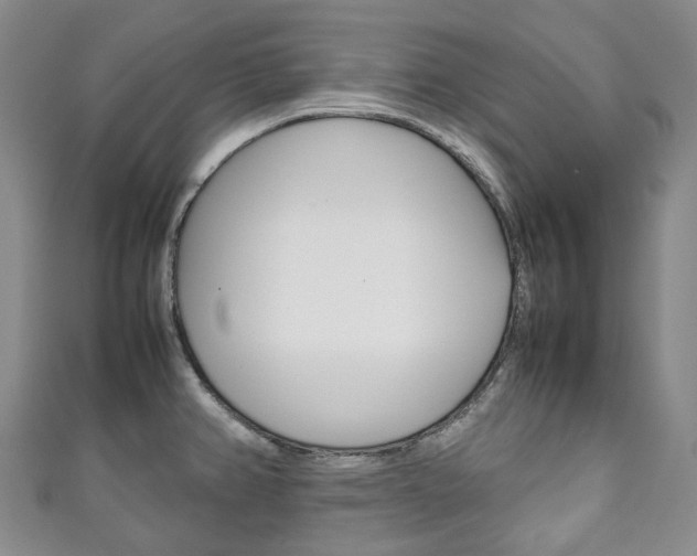 X0000111141382200906301008