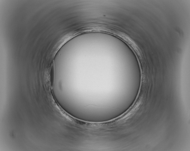 X0000111141385200906301008