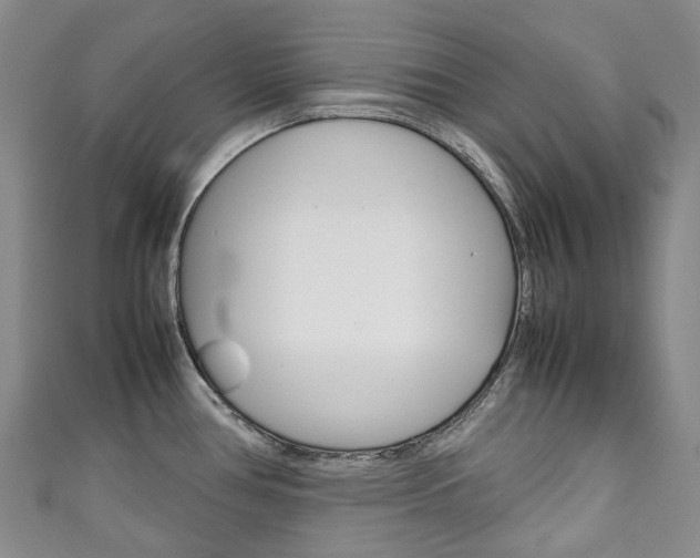 X0000111141386200906301008