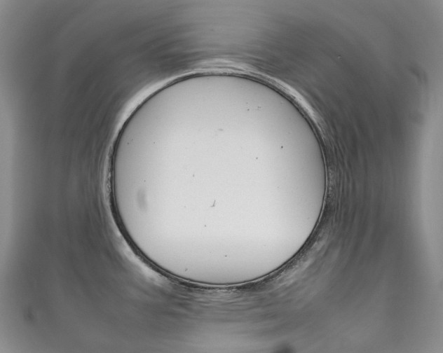 X0000111141387200906301008