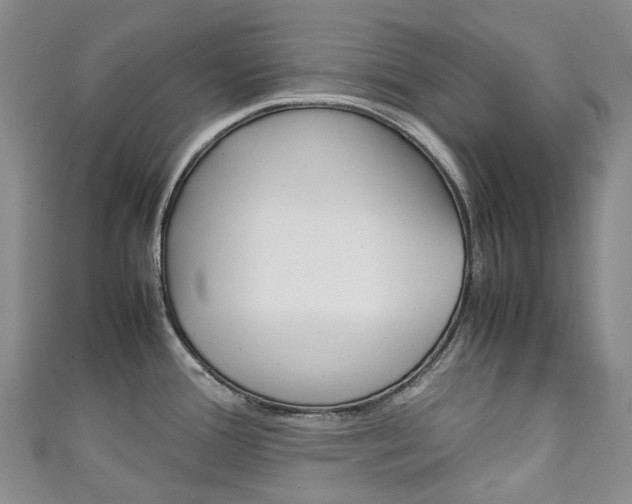 X0000111141388200906301008