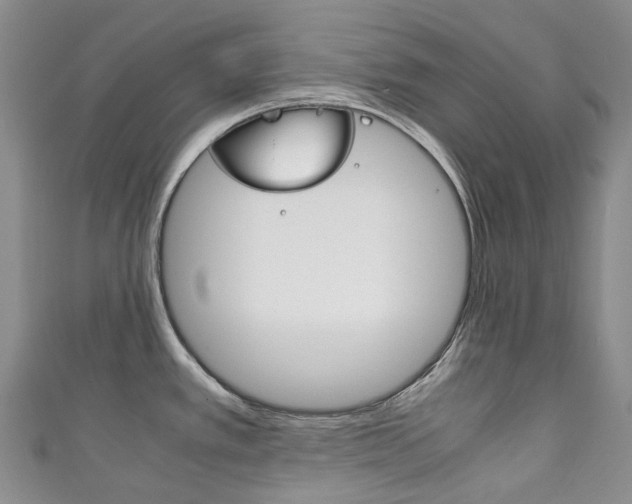 X0000111141389200906301008