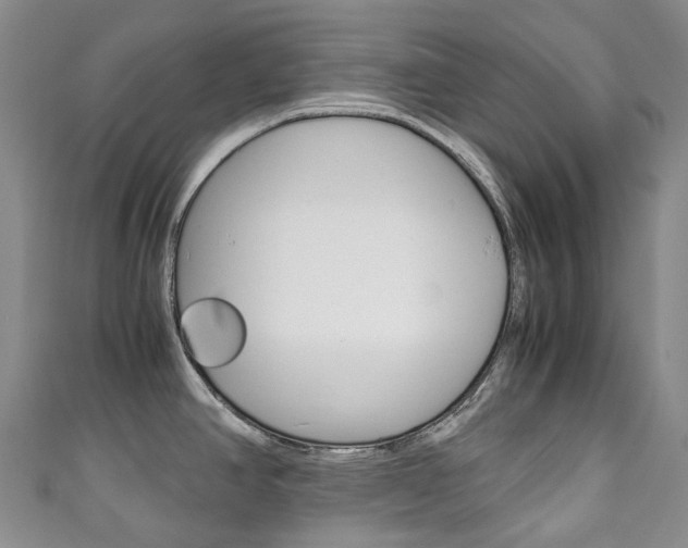 X0000111141390200906301008