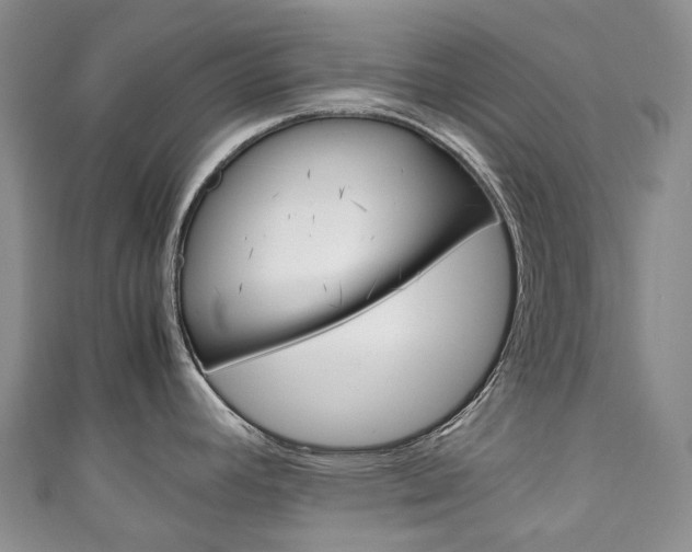X0000111141392200906301008