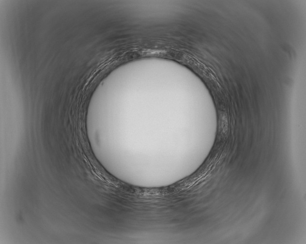 X0000111141393200906301007