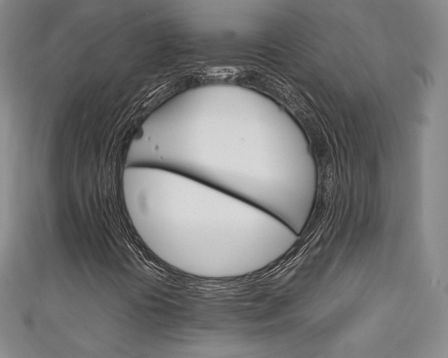 X0000111141394200906301007