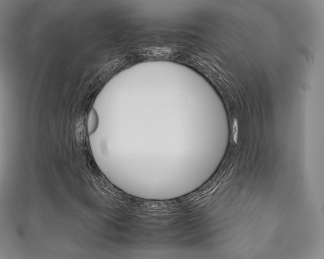 X0000111141395200906301007