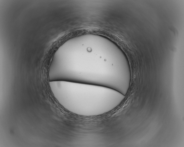 X0000111141398200906301007