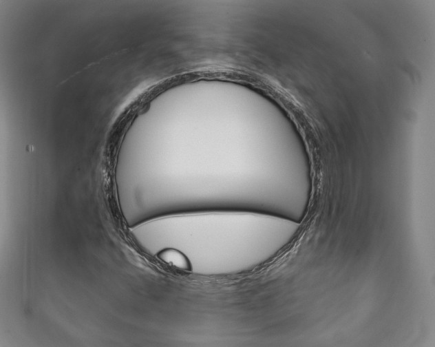 X0000111141400200906301007