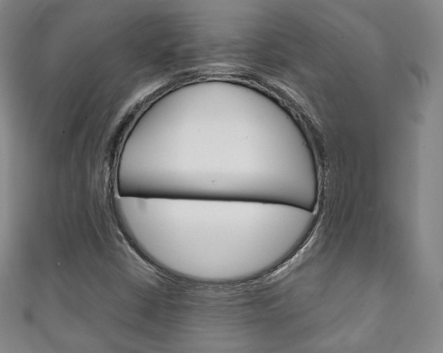 X0000111141402200906301008