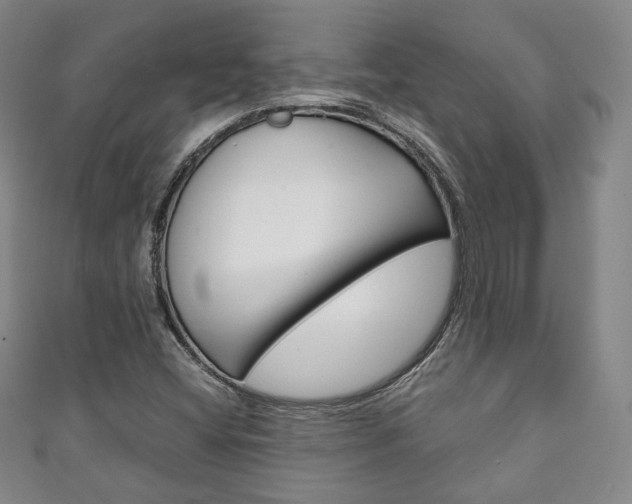 X0000111141404200906301008