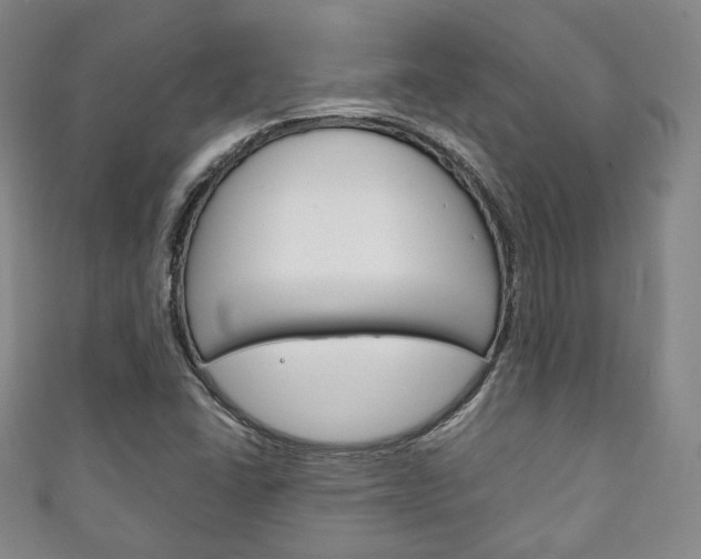 X0000111141406200906301008