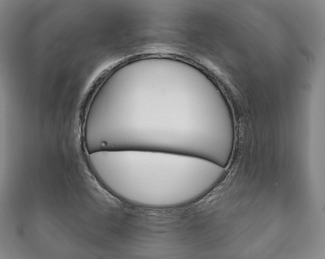 X0000111141408200906301008