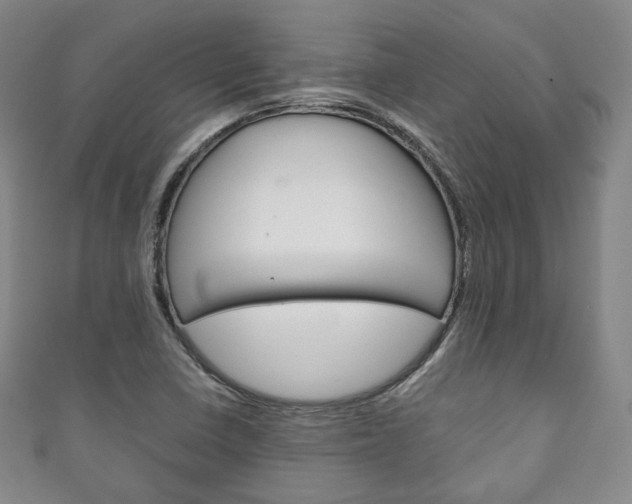 X0000111141410200906301008