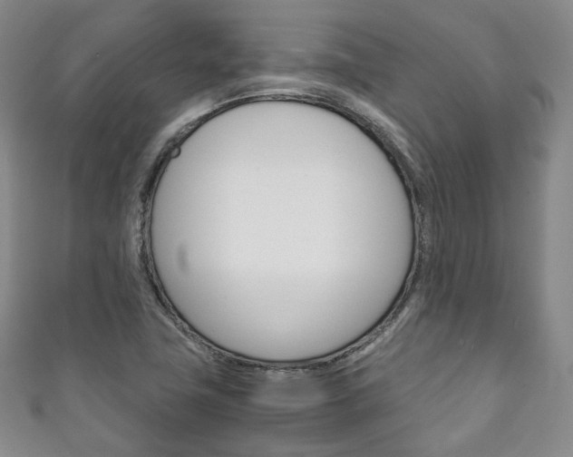 X0000111141411200906301008