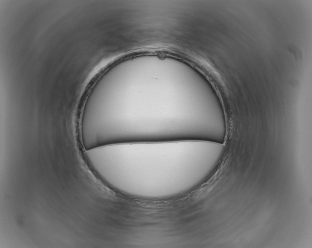 X0000111141412200906301008