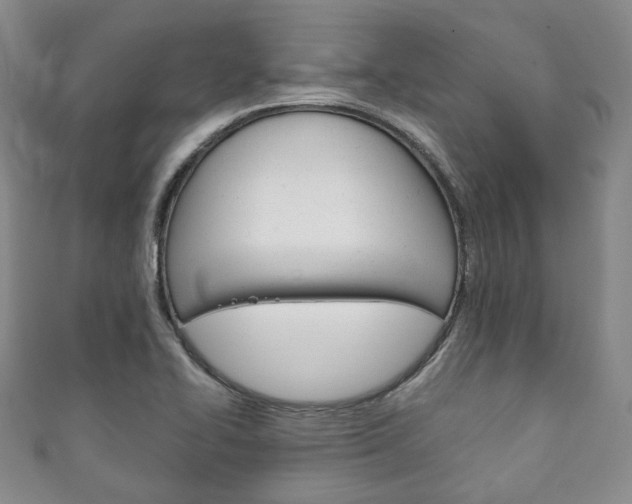X0000111141414200906301008