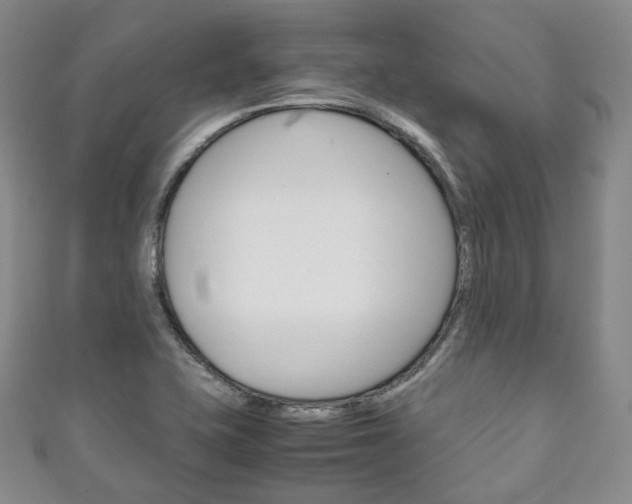 X0000111141415200906301008