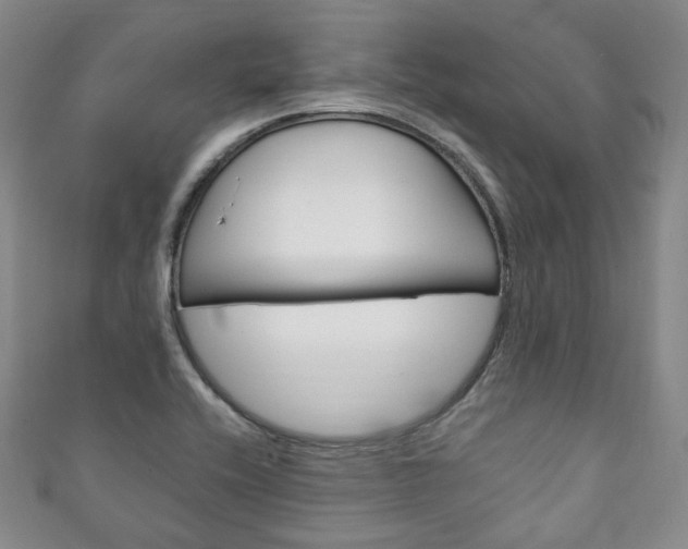 X0000111141416200906301008