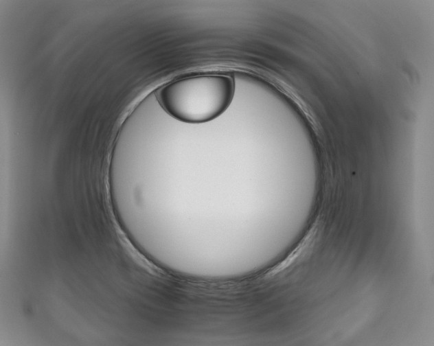 X0000111141417200906301008